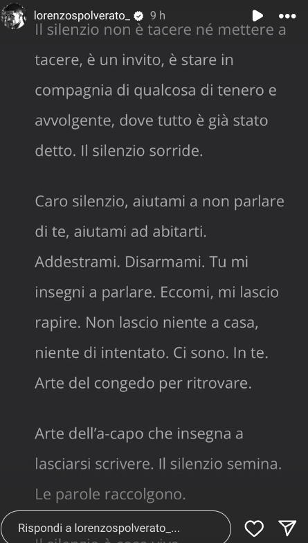 Galleria foto 'Grande Fratello, Lorenzo Spolverato interviene (di nuovo) sui social: le velate parole per Shaila!' - foto 1