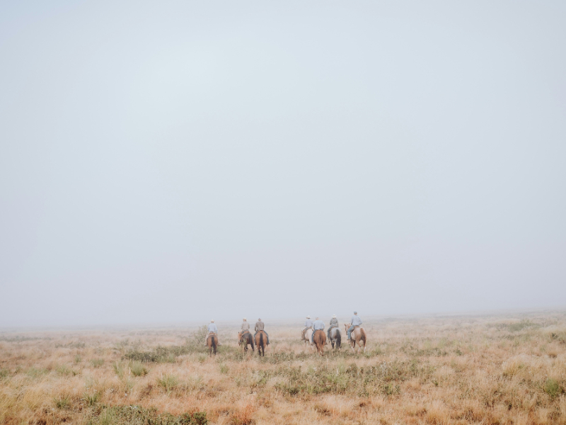 Galleria foto 'Sono questi i 4 Film Western Più Importanti nella Storia del Genere' - foto 2